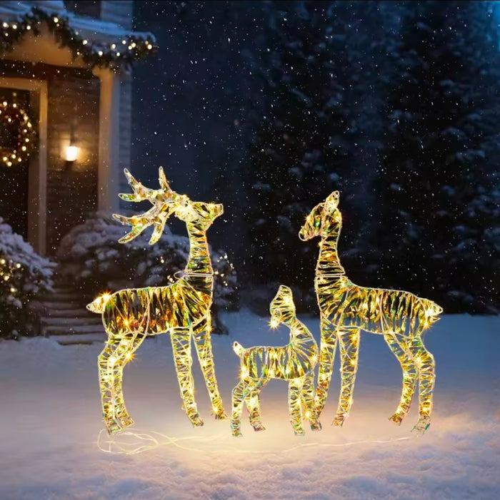 3 Piece Lighted Reindeer Family
