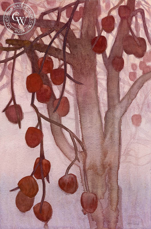 Solstice Persimmons, 2018, watercolor painting by Carolyn Lord (American art). Fine art giclée print reproduction by California Watercolor for wall decor.