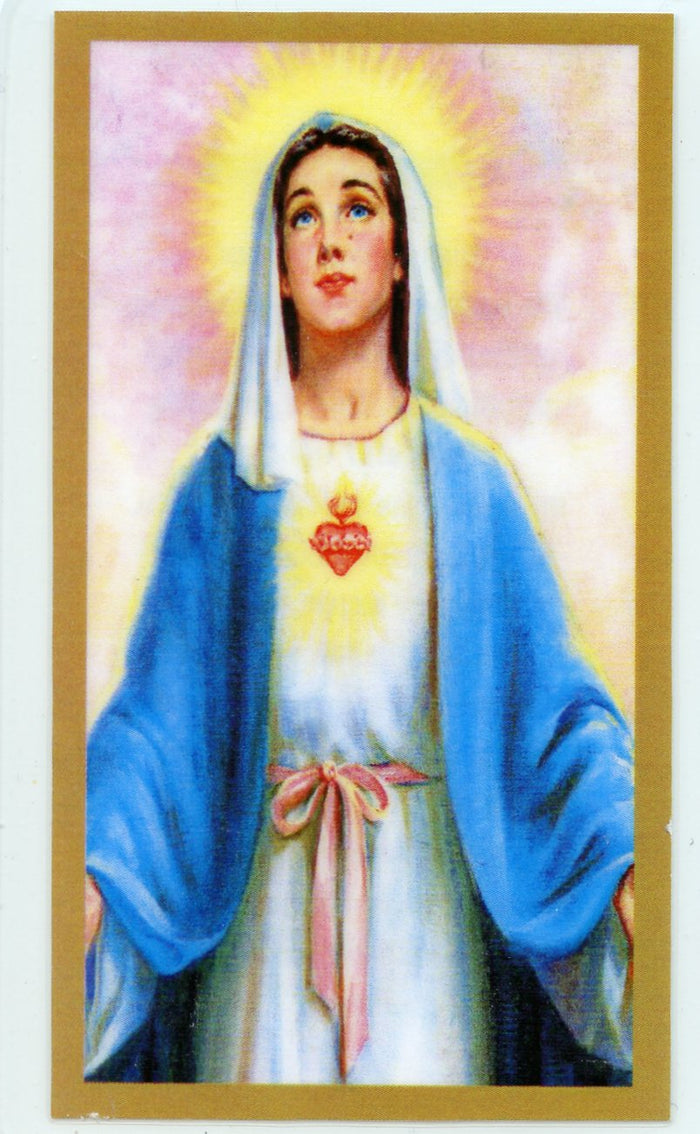A Prayer for Christine U - LAMINATED HOLY CARDS- QUANTITY 25 PRAYER CARDS