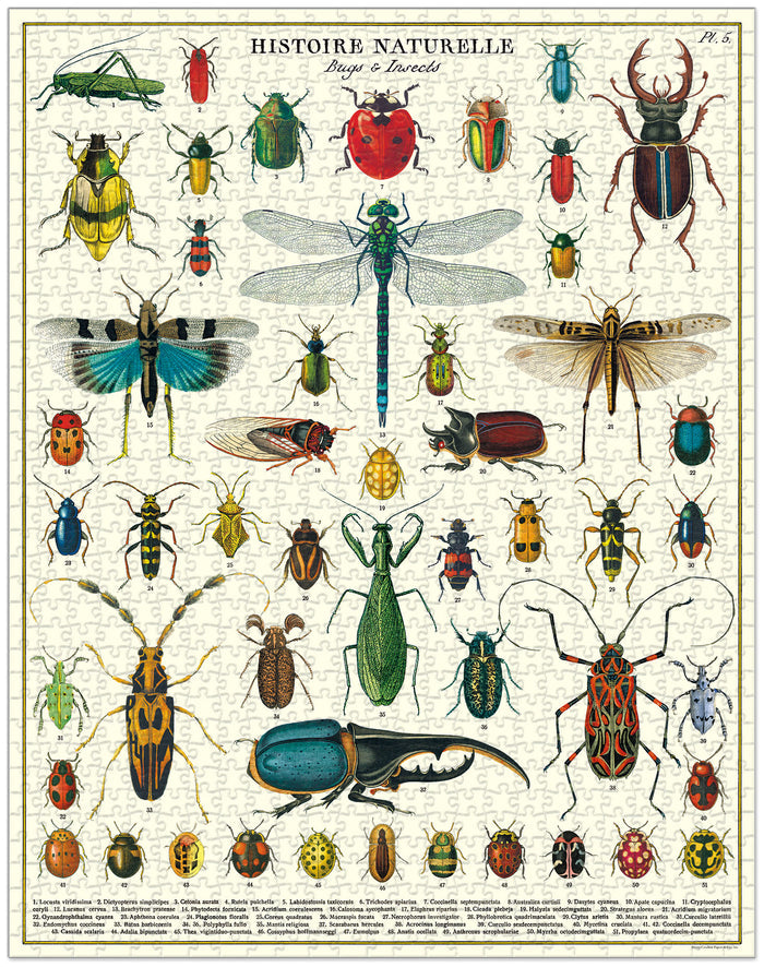 Bugs & insects puzzle with vintage illustrations: Cavallini Papers & Co Bugs & Insects 1,000 Piece Puzzle.