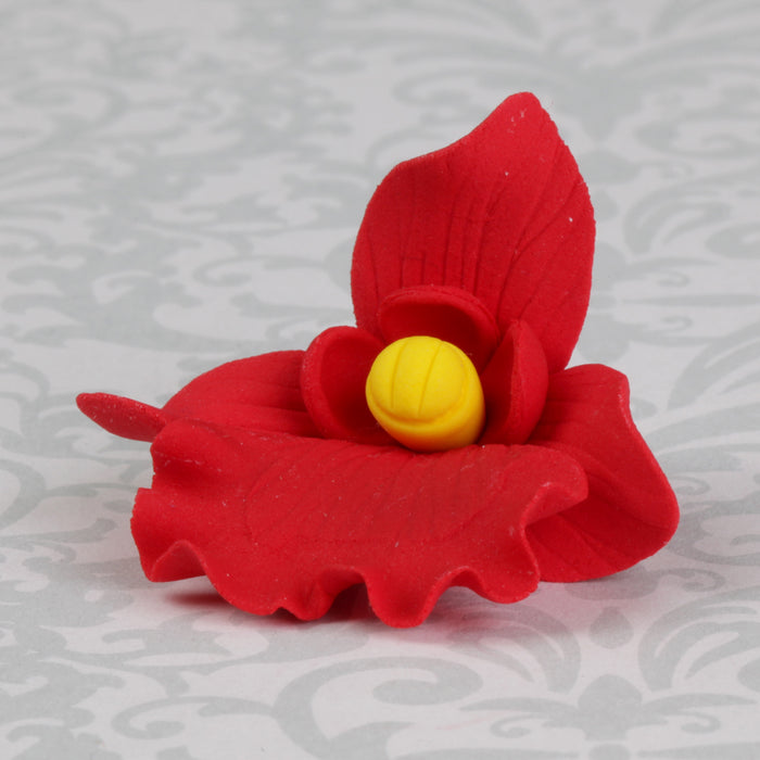 Butterfly Orchid - Red
