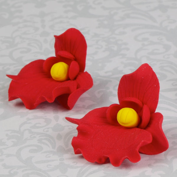 Butterfly Orchid - Red