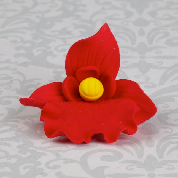 Butterfly Orchid - Red