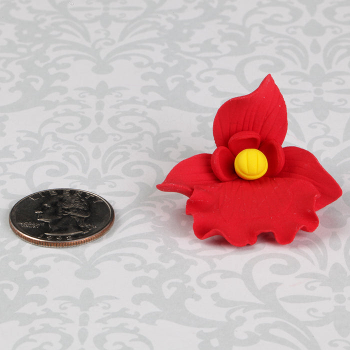 Butterfly Orchid - Red