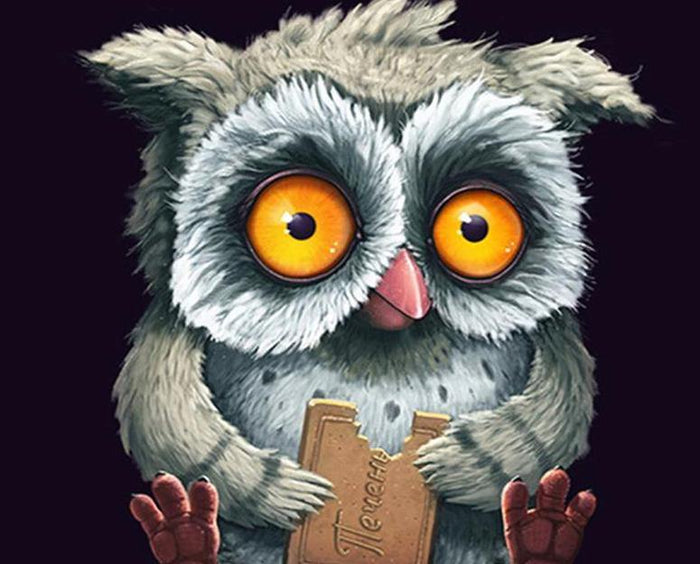 Cartoon Owl Paint by Numbers