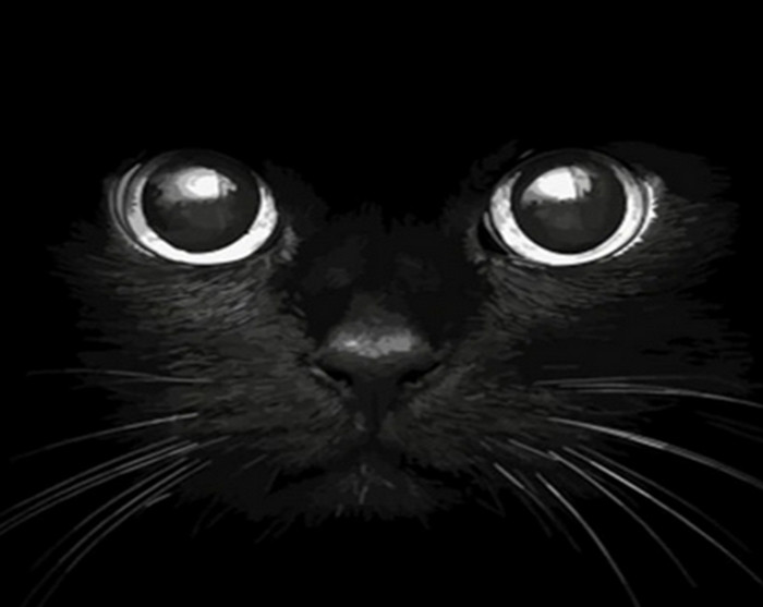 Cat Eyes Painting Kit