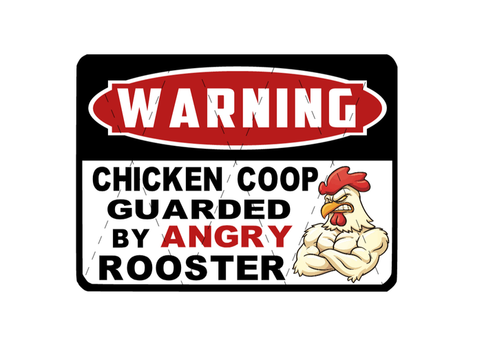 Chicken Coop Guarded By Angry Rooster