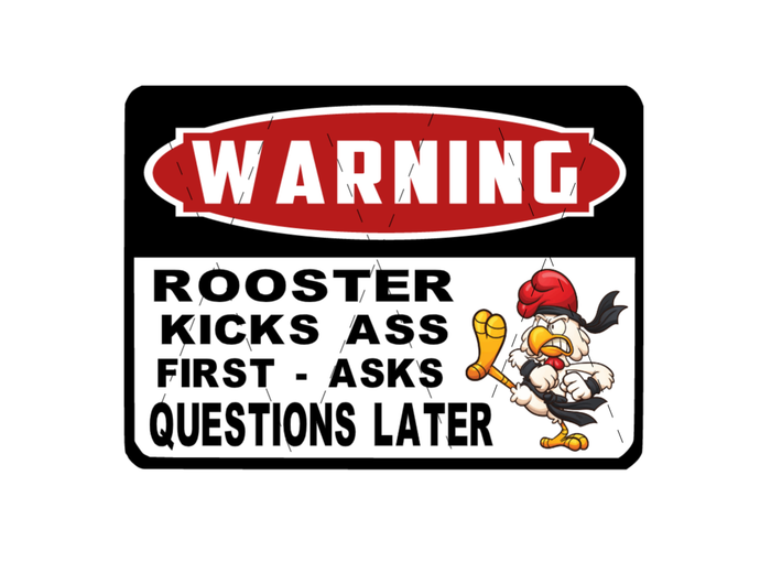 Warning Rooster Kicks Ass Asks Questions Later