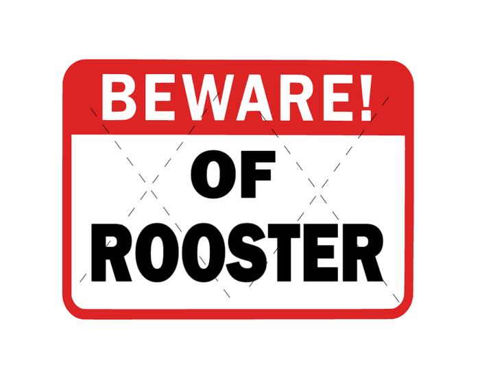 Beware Of Rooster