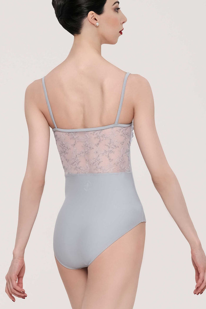 #couleur_light grey