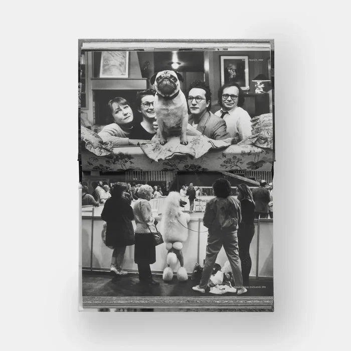 Dogdogs Eleish Van Breems Home