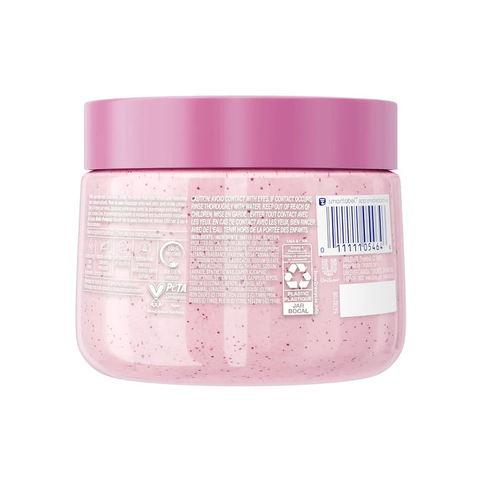 Dove Himalayan Salt & Rose Oil Exfoliating Body Scrub - 15 oz - 12 Pack