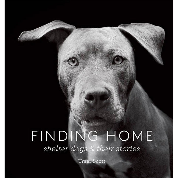 Finding Home Eleish Van Breems Home