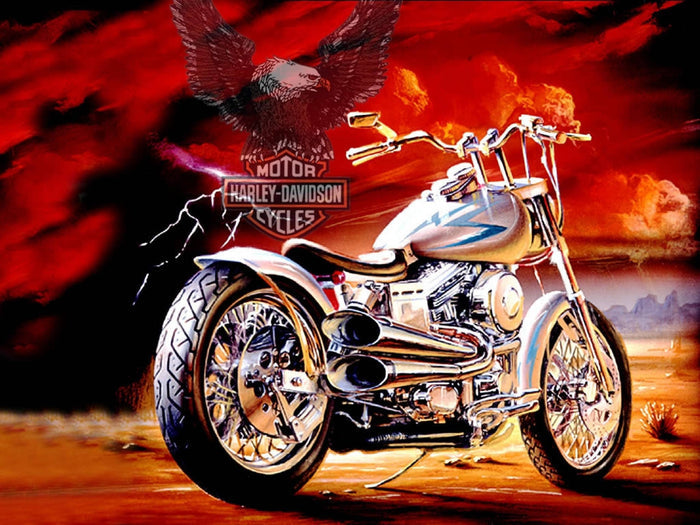 Harley Eagle Flight Diamond Painting Kit - DIY