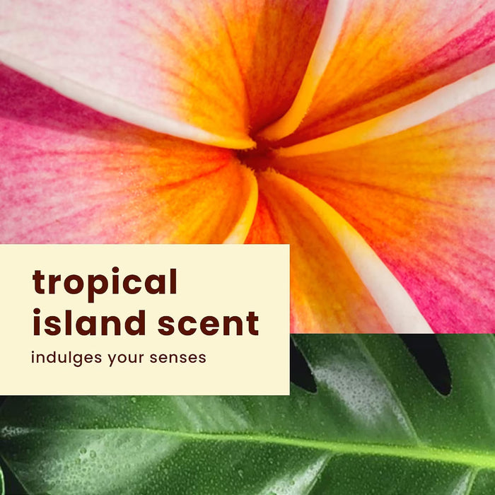 Hawaiian Tropic – Weightless Hydration Sunscreen SPF 50, Tropical Scent, 6 oz – 12 Pack