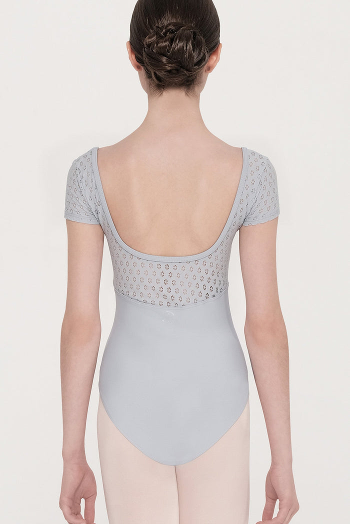 #couleur_light grey