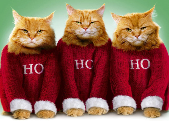 Ho Ho Ho Cat Christmas Diamond Painting Kit - DIY