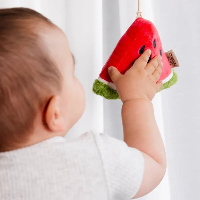 Living Textiles Blue Berry & Watermelon Stroller Toy