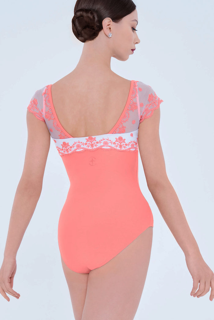 #couleur_CORAL / WHITE
