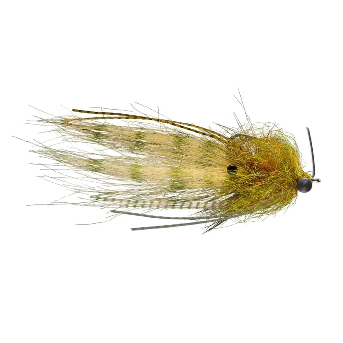 Chartreuse and olive green Rio Shrimp Tease Light fly with speckled tail fibers