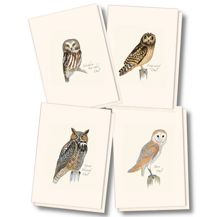 A set of four blank greeting cards with illustrations of different owl species written on them, including a barn owl, a snowy owl, a screech owl, and a great horned owl. Each card has a light beige background and is labeled with the owl's name.