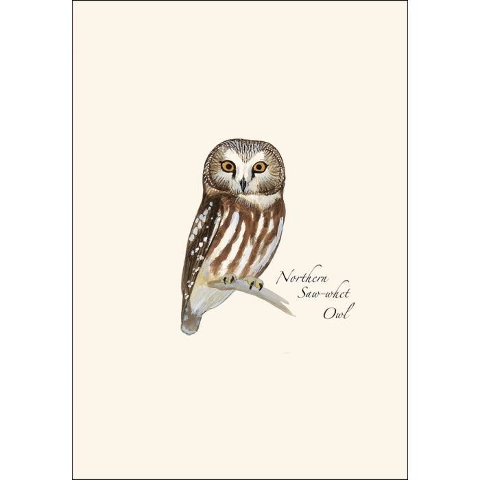 A cream greeting card featuring an illustration of a Northern Saw-whet Owl.