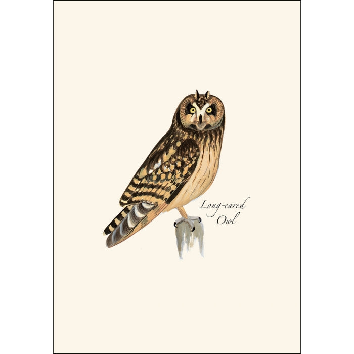 A cream greeting card featuring an illustration of a Long-eared Owl.