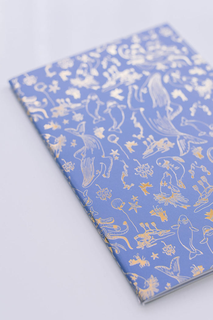So Nauti Notebook Duo