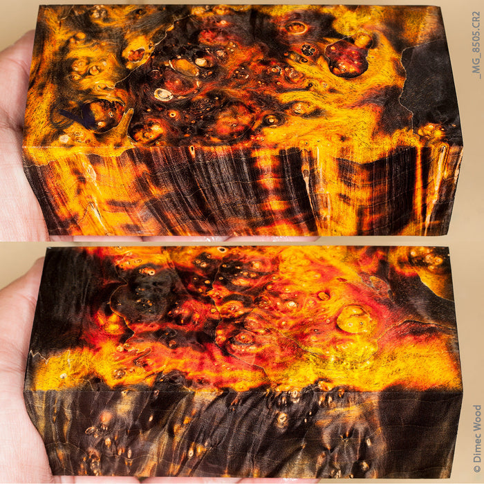 Stabilized wood box elder burl block