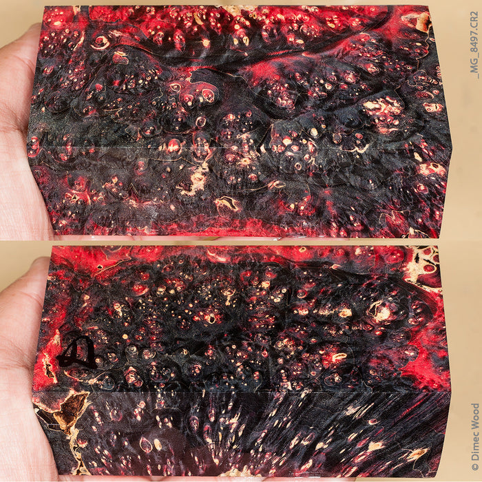Stabilized wood box elder burl block