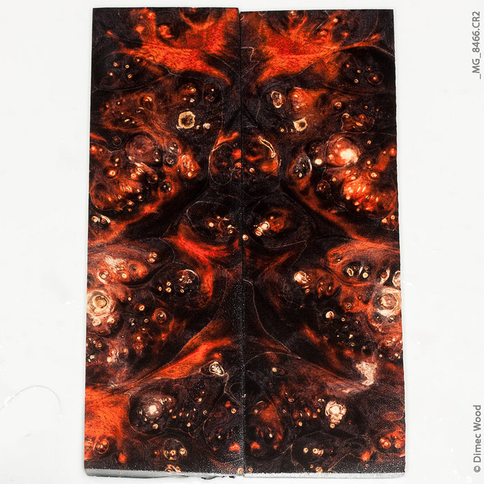 Stabilized wood box elder burl panels