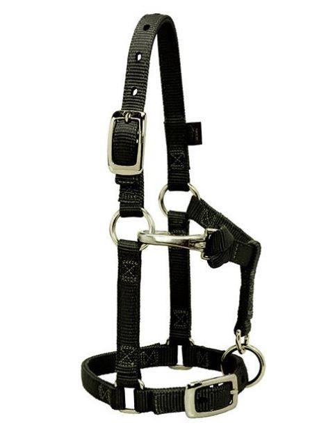 Weaver Miniature Average Horse Adjustable Chin & Throat Snap Halter Black
